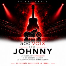 500 VOIX POUR JOHNNY